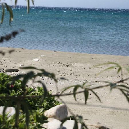 "Sea Front" Rose'S House Villa Kardhianí Екстериор снимка