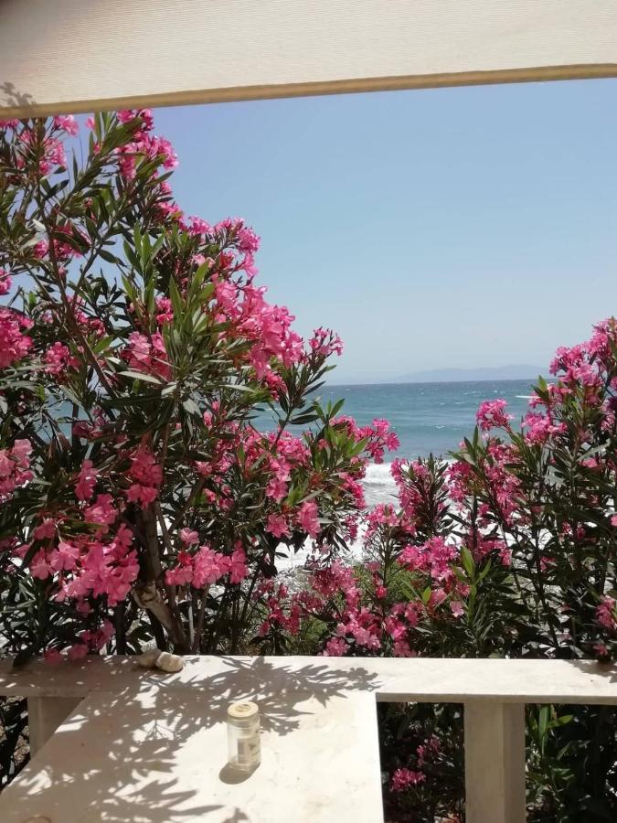 "Sea Front" Rose'S House Villa Kardhianí Екстериор снимка