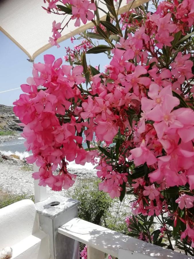 "Sea Front" Rose'S House Villa Kardhianí Екстериор снимка