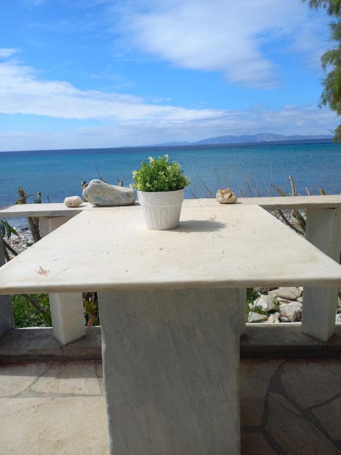 "Sea Front" Rose'S House Villa Kardhianí Екстериор снимка